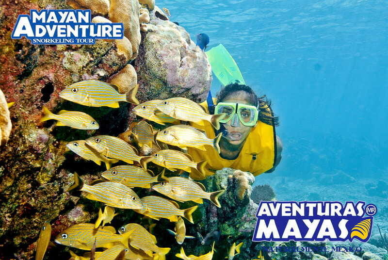 Mayan Adventure - 3 different snorkeling sites in one day! - Key things I’d circle before you go