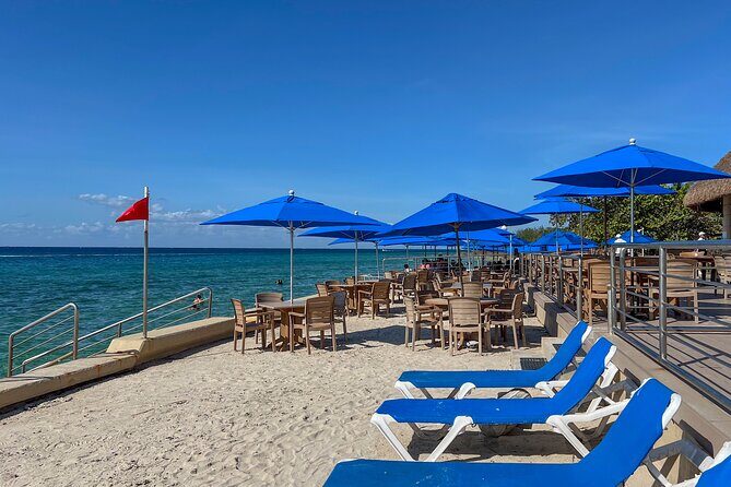 Money Bar Day Pass with Snorkel & Mexican Lunch - Dzul-Ha Reef shore snorkeling: what you’re buying