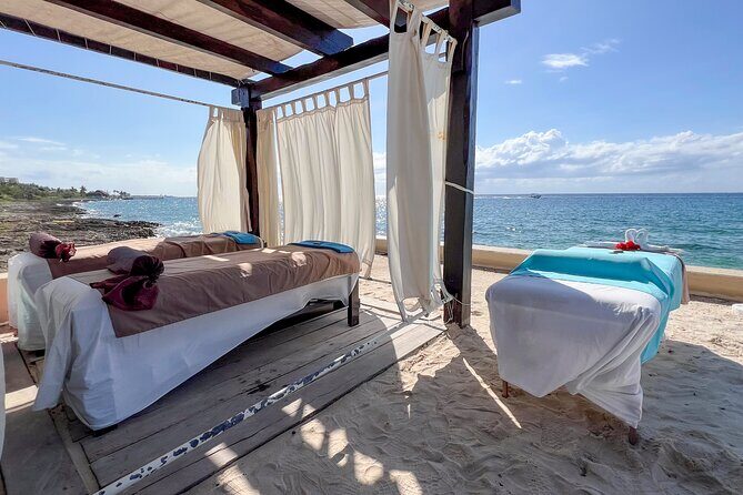 Money Bar Day Pass with Snorkel & Mexican Lunch - Your time in the water: short and guided