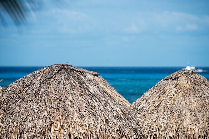 Mr. Sanchos Beach Club All-Inclusive Day Pass - On-Site Extras: When You Want to Spend More