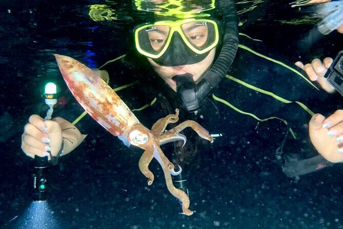Night Snorkeling - Observation of octopus and other species - Meeting at Money Bar Beach Club and the 7:30 pm rhythm