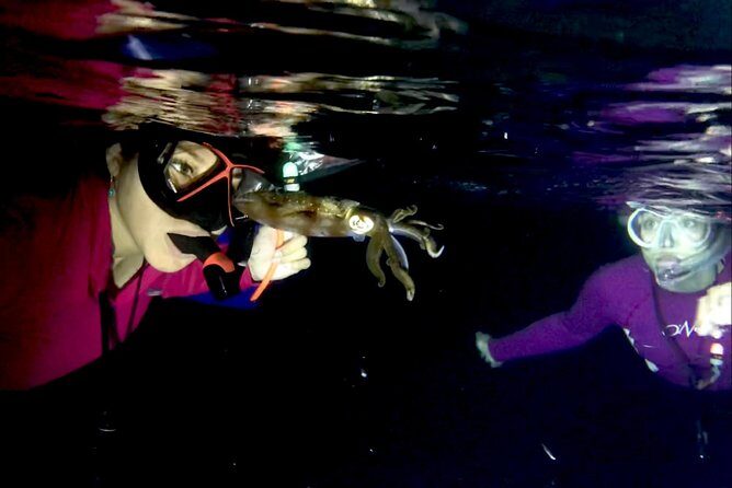 Night Snorkeling - Observation of octopus and other species - Who should book, and who should pass?