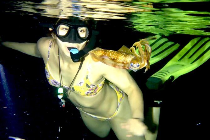Night Snorkeling - Observation of octopus and other species - The 90-minute flow: from shore to a shallow, controlled swim