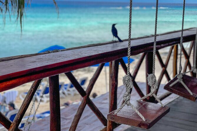 North Shore E-Bike & Beach Break - Stop 2: Cocos Beach for paddling plus your lunch