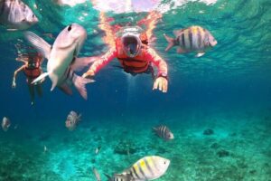 Official Chankanaab Park Day pass and Snorkel with Lunch included - Your 3-hour plan: morning park time, then reef snorkeling