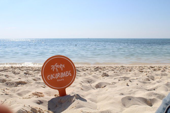 Official Chankanaab Park Day pass and Snorkel with Lunch included - Service quality: usually helpful, occasionally messy