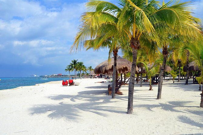 Official Chankanaab Park Day pass and Snorkel with Lunch included - How to make the most of your Chankanaab day pass