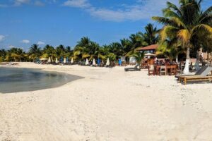 Open Top City Tour & Beach Break - Stop 1 and the San Miguel orientation loop
