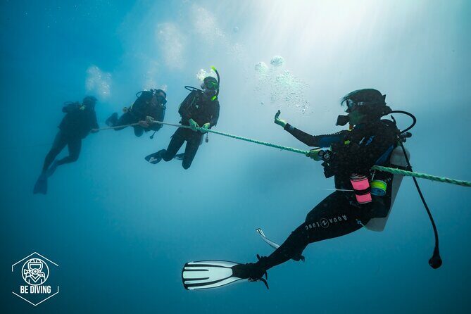 Open Water Course Cozumel - The PADI Open Water rhythm: theory, confined water, open water