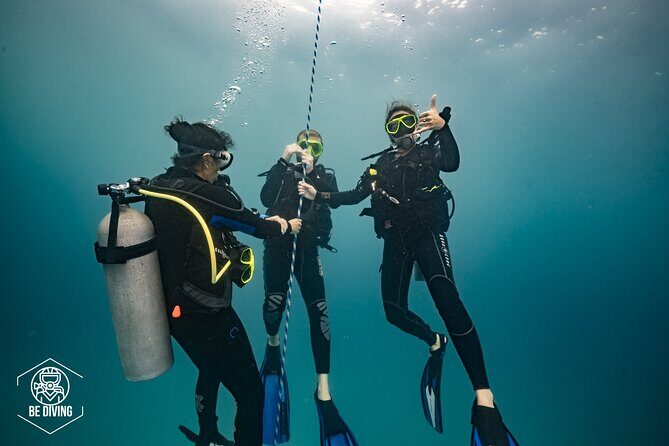 Open Water Course Cozumel - Casa Cenote in Tulum: a training-friendly place to see life