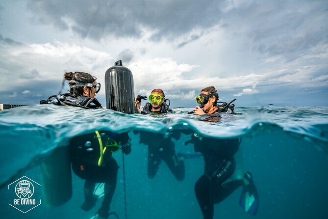 Open Water Course Cozumel - Marine conservation lessons: practical respect, not just talk