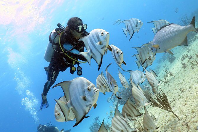Open Water Diver 2-Day PADI Course in Playa del Carmen - Where You Start in Playa del Carmen (and How to Plan Your Day)