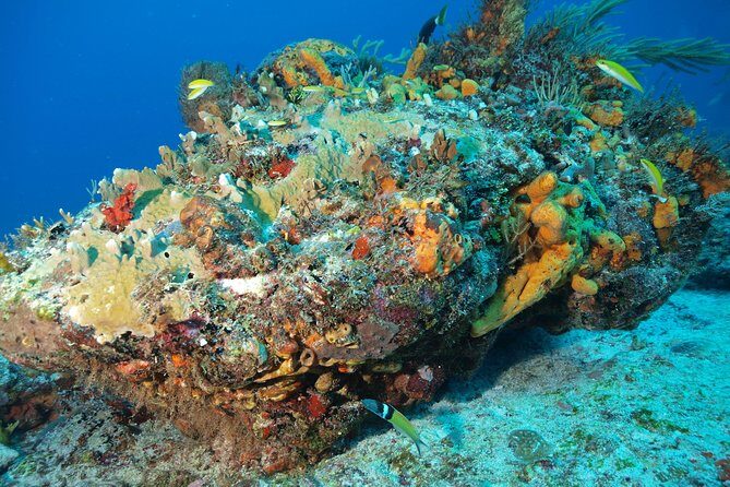 Open Water Diver course PADI including underwater video - Instructors and safety culture: why first-timers feel okay