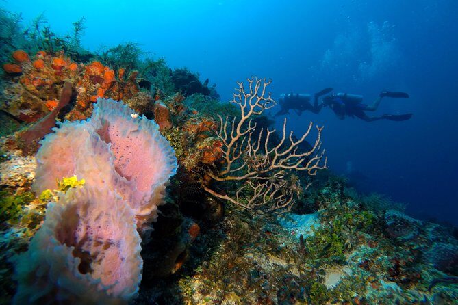 Open Water Diver course PADI including underwater video - What’s included: gear, exam, and the underwater video keepsake
