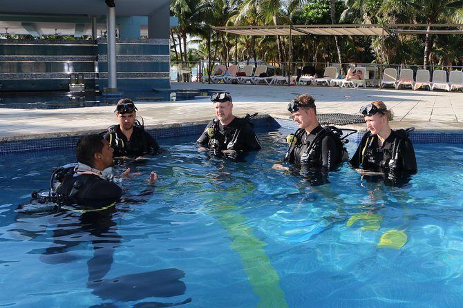 PADI Discover Scuba Diving in Playa del Carmen - Key highlights