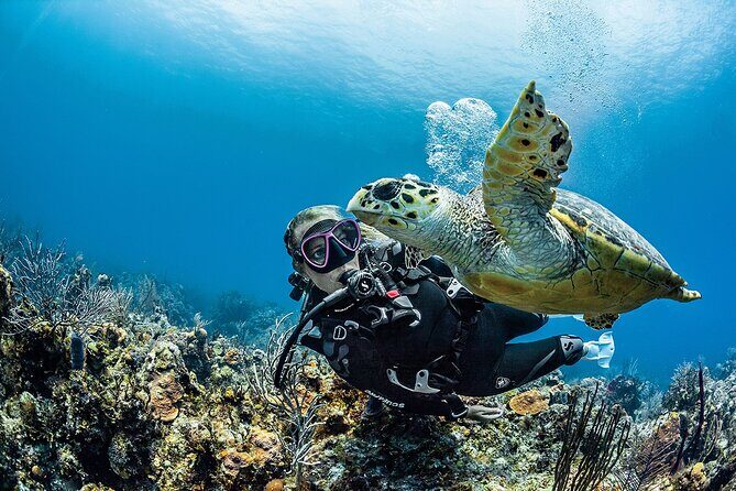 PADI Open Water Diver Course in Playa del Carmen - PADI Open Water Diver in Playa del Carmen: the short course rhythm