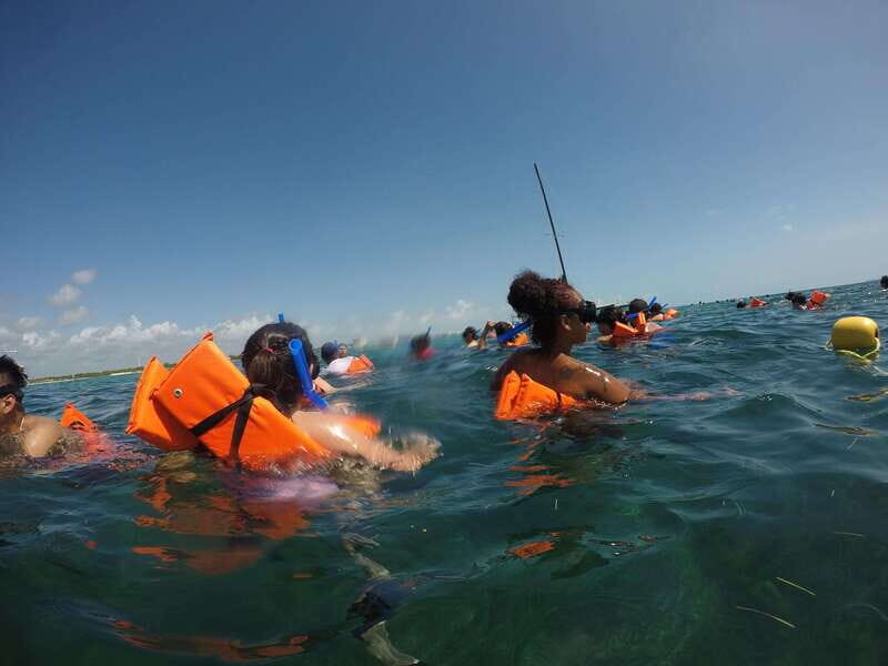 PDC: Isla Mujeres Catamaran Tour with Snorkeling - Logistics That Can Save You Money (and Headaches)