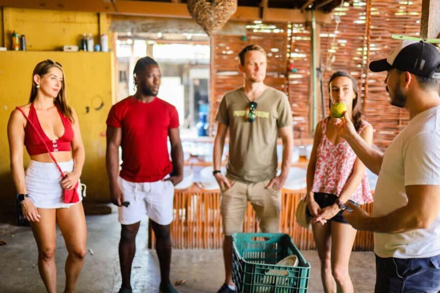 Playa del Carmen: 3-Hour Local Food Walking Tour - How Mexican Food Blends Influences (Italy, Lebanon, and Regional Styles)