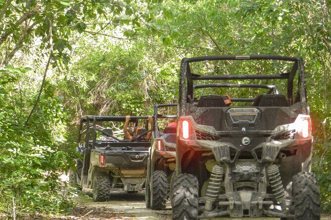 Playa del Carmen Buggy Tour with Cenote Swim and Mayan Village Visit - What You’re Really Buying: Jungle Buggy + Cenote + Maya Village