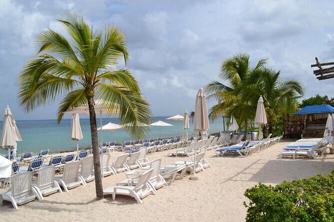 Playa Uvas Open Bar Exclusive Pass - Playa Uvas Beach Club: Where Your Cozumel Time Starts