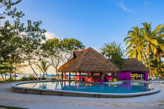 Playa Uvas Open Bar Exclusive Pass - Beach Club Comforts: Pool, Hammocks, Lounge Chairs, Fish Spa