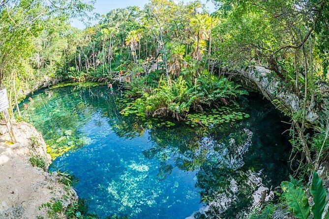 Private 2-Cenote Snorkeling Tour with Authentic Mayan Lunch - Stop 1 choice: Cenote Jaguar or Cenote Nicte Ha
