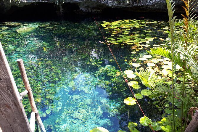 Private Akumal & Cenotes tour - Guides make it private: Josh, Salvador, Leo, and Omar in real life