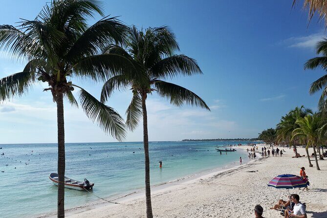 Private Akumal & Cenotes tour - Price and logistics: what $242 buys you (and what costs extra)