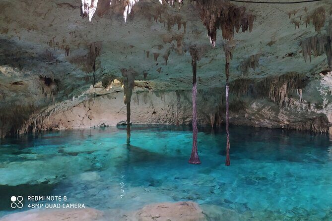 Private Akumal & Cenotes tour - Who this tour is best for