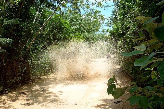 Private ATV Jungle Explorer Tour - Photo Stops and the Free Picture Advantage