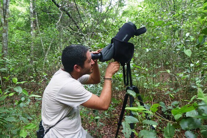 Private Birdwatching Tour in Sian Ka'an Muyil - Price and Value: What $218 Covers (and What Can Cost More)