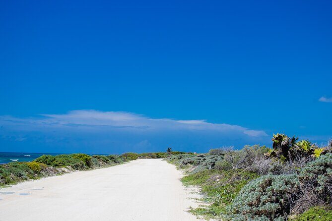 Private Buggy Tour and Punta Sur Park: All-Inclusive - Price and logistics: what you’re really paying for