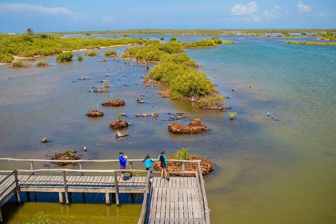 Private Buggy Tour and Punta Sur Park: All-Inclusive - Celarain Lighthouse and the Laguna Colombia viewpoints