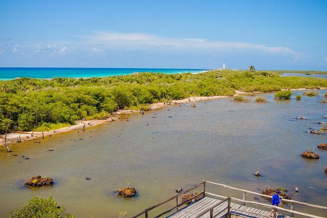 Private Buggy Tour and Punta Sur Park: All-Inclusive - Playa Publica San Martín: 15 minutes of calm on the east side
