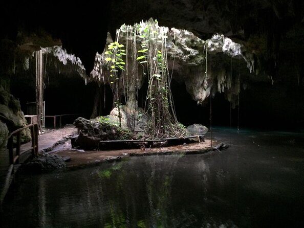 Private Cenote & Cave – Playa del Carmen, Mayan Culture & Fossils - Why Cenote Chaak Tun feels like a time machine near Playa del Carmen