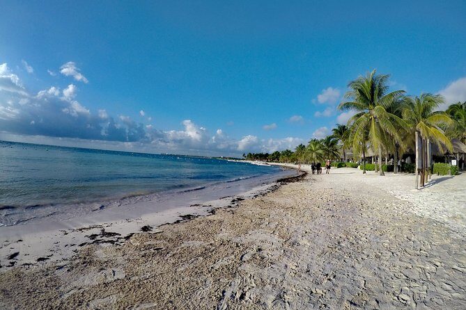 Private Cenote & Snorkeling Tour with Turtles in Akumal - Why Akumal turtles and Taak Bi Ha make sense in one 5-hour day