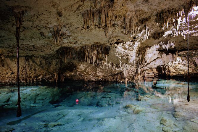 Private Cenote & Snorkeling Tour with Turtles in Akumal - Safety and comfort: what the guides actually do for you