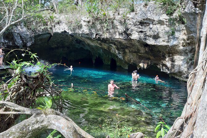 Private Cenotes tour - Casa Cenote: mangroves, fish, and the open-air break