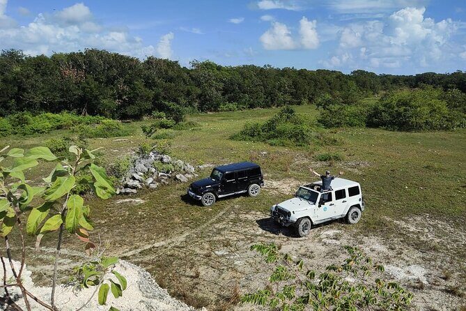 Private Cozumel Cave and Ruin Exploration Tour with Mexican Lunch - Rancho Alejandra: Tequila Tasting Plus Ranch Animals