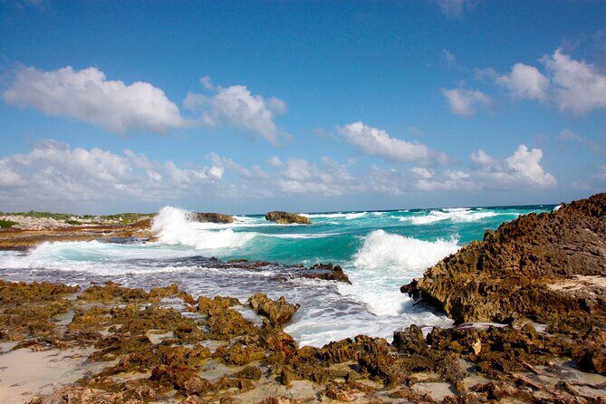 Private Cozumel Jeep and Jade Cavern Cenote Tour - Playa Publica San Martin: ceviche nearby and big views