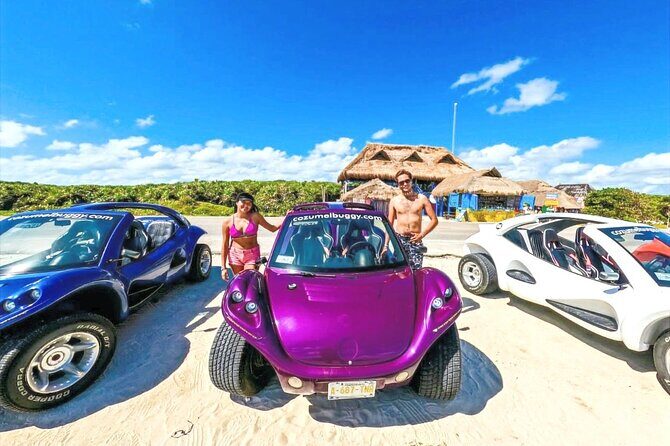 Private Dune Buggy & Snorkel Tour: All-Inclusive - Public Playa San Martín and ceviche break: local flavors and a wild-side view