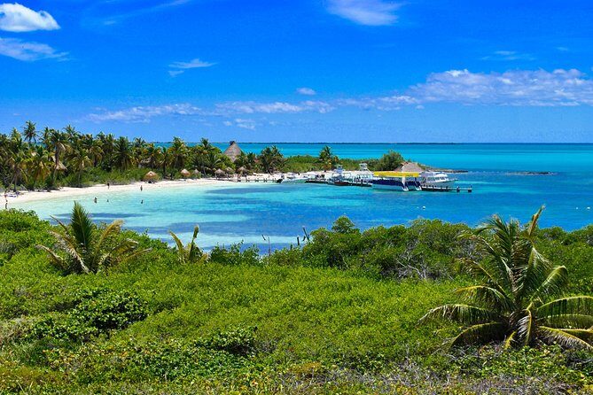 Private Escape: Isla Contoy & Isla Mujeres with Snorkeling - Isla Contoy National Park: a bird-and-water kind of visit