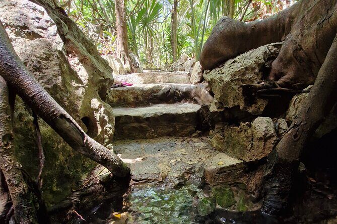 Private experience 5 cenotes at Riviera Maya - The jungle path and cenote rules you should plan for