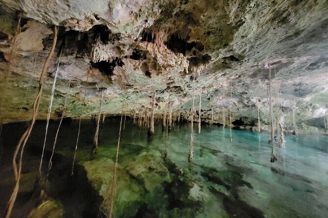Private experience 5 cenotes at Riviera Maya - Entering the cenotes: what you’ll do at each stop