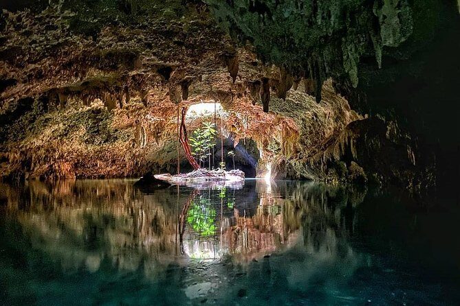 Private Guided Cenotes and Underground River Exploration - Sac Actun: sacred tree views and a swim/wade underground river