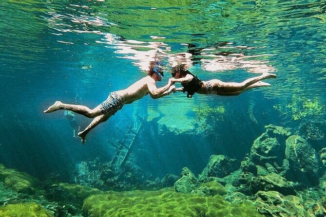 Private Guided Cenotes and Underground River Exploration - Chemuyil open cenote: snorkeling with fish and a jungle view
