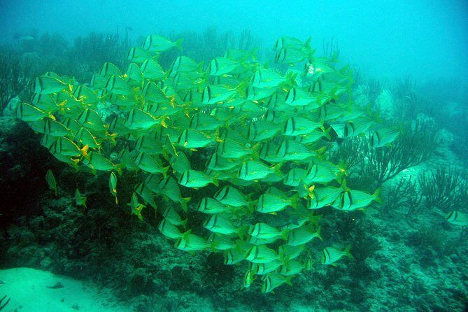 Private Isla Mujeres Adventure & Free Time - Timing and pacing: a 6-hour day with a real rhythm