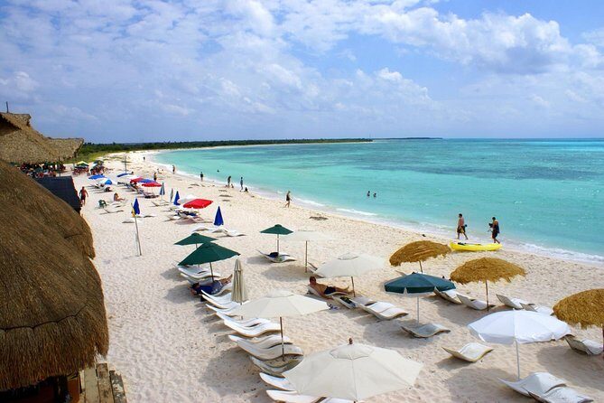 Private Island Tour at Your Leisure - East Coast Highlights: Sr. Iguanas, Punta Morena, Coconuts, and Views