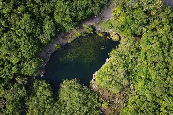 Private Jeep Cenotes Expedition in Cozumel – Swim & Mayan Park - Price and What $99 Gets You (and Why It Can Be Fair Value)