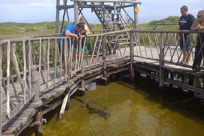 Private Jeep Excursion in Cozumel with Lunch and Snorkeling - Entering Cozumel by Private Jeep Instead of a Bus